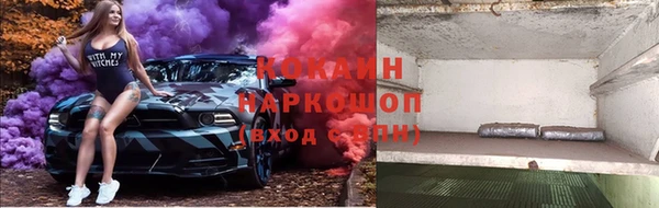 трава Абаза
